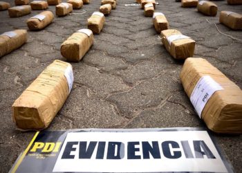 Detienen a dos personas con 41 kilos de cannabis que sería comercializada en Año Nuevo