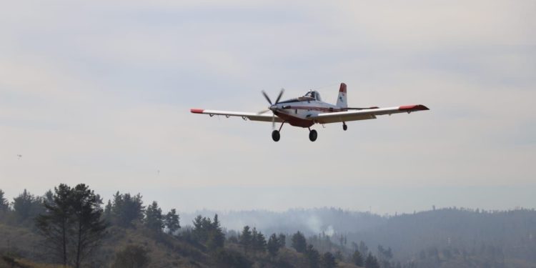 Más de 500 hectáreas ha consumido incendio forestal en Fundo Las Cenizas de Valparaíso