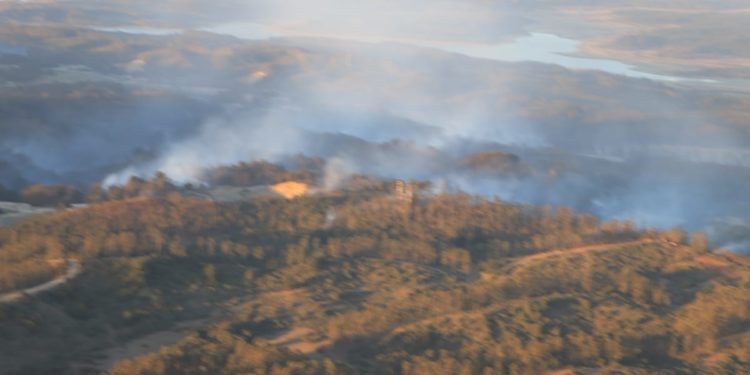 Dos personas fueron detenidas por su participación en inicio de incendio en Curauma