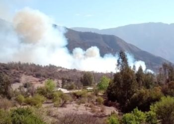 Declaran alerta roja para la comuna de Olmué por incendio forestal en sector Las Palmas