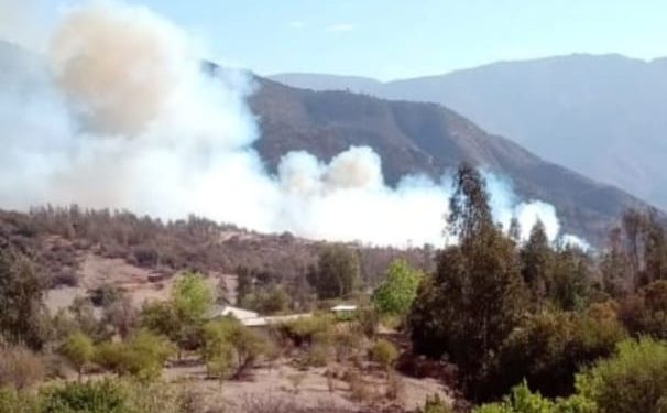 Declaran alerta roja para la comuna de Olmué por incendio forestal en sector Las Palmas