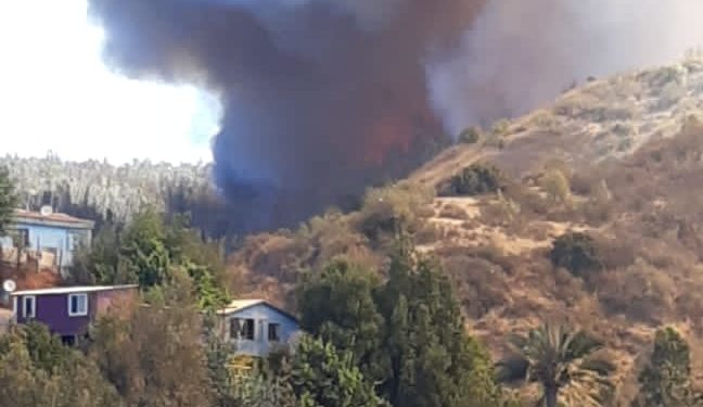 Declaran alerta roja para Valparaíso por incendio forestal cercano a sectores poblados