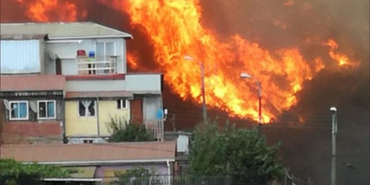 Cerca de 80 casas afectadas por incendio forestal en Cerro San Roque y Rocuant de Valparaíso