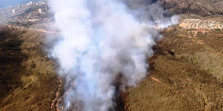 Municipalidad de Valparaíso presentó querella criminal por incendio y piden el máximo rigor de la ley