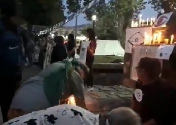 Manifestaciones pacíficas se produjeron junto al Patagual en la previa del Festival del Huaso de Olmué