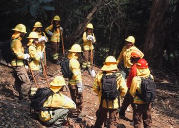 Brigada «Chonta» de CONAF se despliega en Juan Fernández para proteger su patrimonio natural y cultural