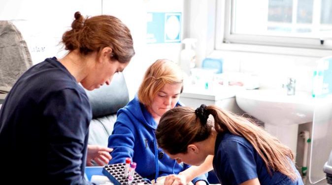 Cámara de Diputados aprueba crear un catastro nacional público de enfermedades poco frecuentes