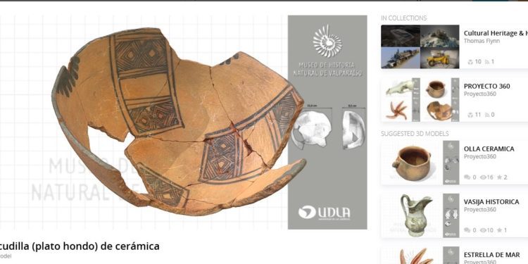 Realizan digitalización tridimensional de piezas patrimoniales del Museo de Historia Natural de Valparaíso