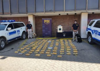 Descubren millonario cargamento de cocaína base oculta en camión