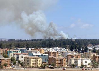 Incendio afecta a sector Bosques de Montemar en Concón y helicóptero Chinook llega para combatir las llamas