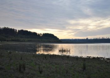Advierten que Lago Peñuelas podría secarse en dos meses debido a la sequía