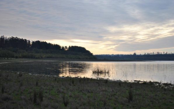 Advierten que Lago Peñuelas podría secarse en dos meses debido a la sequía