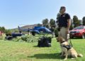 En La Cruz lanzan «Plan Cannabis 2020», que busca incautar plantaciones de marihuana en seis regiones del país