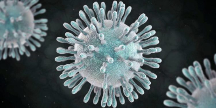 Coronavirus: a 55 aumentan los fallecidos en China y se reporta el primer caso en Canadá