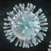 Coronavirus: a 55 aumentan los fallecidos en China y se reporta el primer caso en Canadá