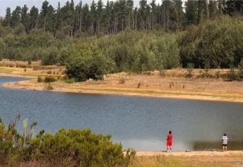 Municipalidad de Valparaíso prepara ordenanza para proteger la Reserva Nacional Lago Peñuelas