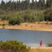 Municipalidad de Valparaíso prepara ordenanza para proteger la Reserva Nacional Lago Peñuelas