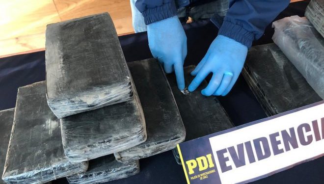 Incautan millonario cargamento de cocaína en contenedor con destino a Europa