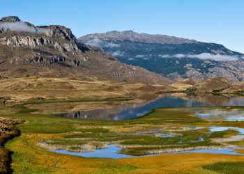 Organismos públicos serán oficiados por la Cámara de Diputados por reducción del Parque Patagonia