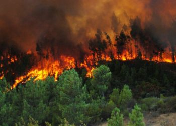 Buscan evitar incendios forestales en el último fin de semana de vacaciones en la Región de Valparaíso