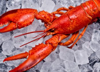 Coronavirus mantiene paralizadas las exportaciones de langosta de Juan Fernández hacia China
