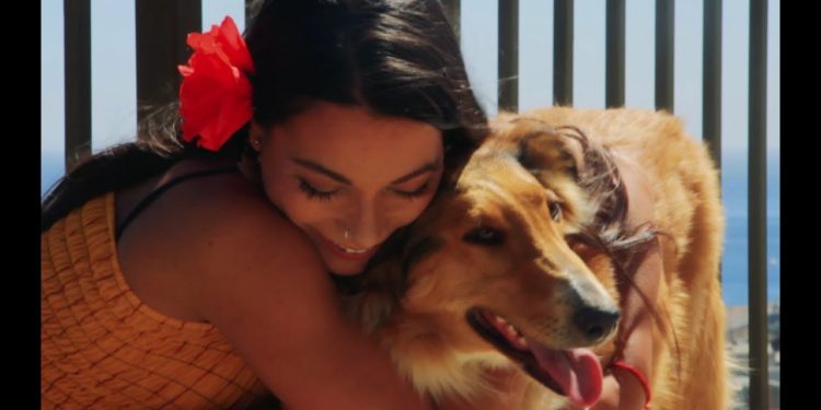 Cortometraje grabado en cerro Las Cañas de Valparaíso compite por llegar a los premios Oscar