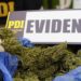 Más de mil dosis de cannabis fueron incautadas en control carretero en plaza de peajes de El Melón