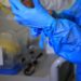 Confirman segundo caso de coronavirus en Chile: es la esposa del primer contagiado