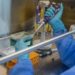 Centro de Enfermedades Infecciosas de la Universidad de Valparaíso procesará 700 exámenes semanales de Covid-19