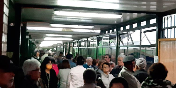 Masiva concurrencia de personas en Cesfam de la Región de Valparaíso para vacunarse contra la influenza