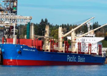 Confirman dos casos de coronavirus en motonave que viajaba a San Antonio