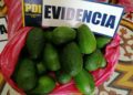 Detienen a sujeto tras ser sorprendido sustrayendo paltas avaluadas en más de $1 millón