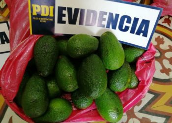 Detienen a sujeto tras ser sorprendido sustrayendo paltas avaluadas en más de $1 millón