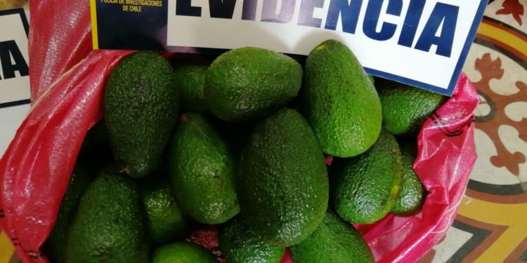 Detienen a sujeto tras ser sorprendido sustrayendo paltas avaluadas en más de $1 millón