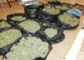 Organización criminal fue detenida con droga y armamento en Colliguay