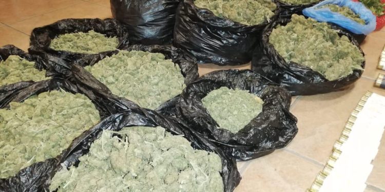 Organización criminal fue detenida con droga y armamento en Colliguay