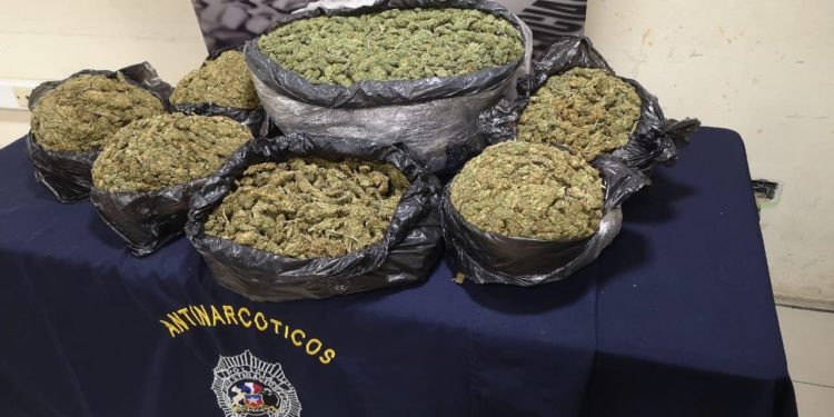 Con 11 kilos de cannabis destinada a Concón y Viña del Mar detienen a banda criminal