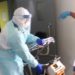 Ofician a Mañalich para que se mejoren condiciones sanitarias de los trabajadores de la salud en la Región de Valparaíso