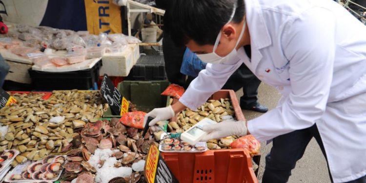Covid-19: aplican estricta fiscalización en Caleta Portales de Valparaíso por Semana Santa