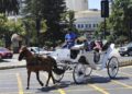 Seremi de Salud y jefe de zona de Valparaíso son oficiados por alcaldesa de Viña del Mar para paralizar funcionamiento de coches victoria