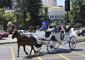 Seremi de Salud y jefe de zona de Valparaíso son oficiados por alcaldesa de Viña del Mar para paralizar funcionamiento de coches victoria