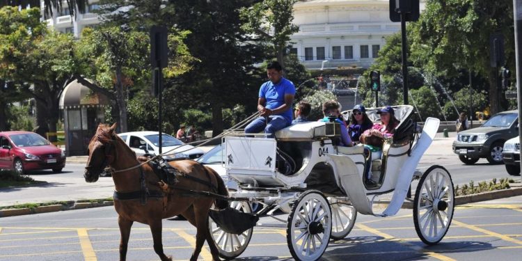 Seremi de Salud y jefe de zona de Valparaíso son oficiados por alcaldesa de Viña del Mar para paralizar funcionamiento de coches victoria