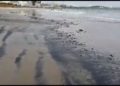Ofician a SMA y Seremi de Medio Ambiente de Valparaíso, por varamiento de carbón en Puchuncaví ocurrido esta madrugada