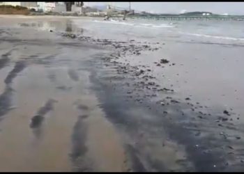 Ofician a SMA y Seremi de Medio Ambiente de Valparaíso, por varamiento de carbón en Puchuncaví ocurrido esta madrugada