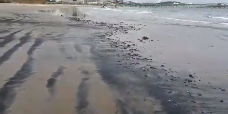 Ofician a SMA y Seremi de Medio Ambiente de Valparaíso, por varamiento de carbón en Puchuncaví ocurrido esta madrugada
