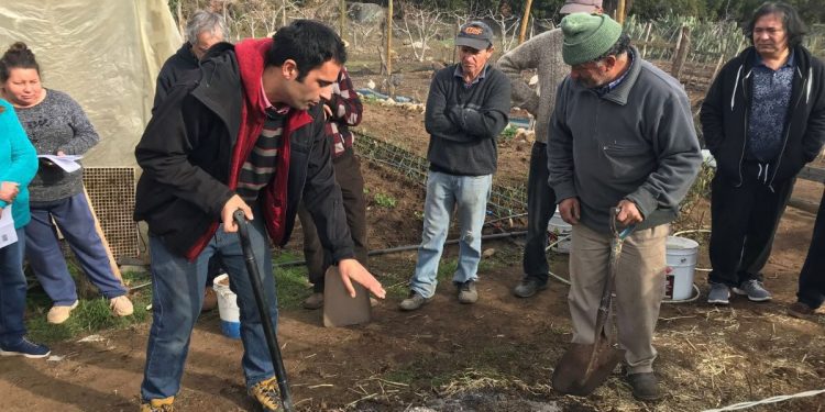 133 pequeños productores agrícolas de Quilpué podrán aumentar sus ingresos gracias a convenio entre la UPLA e INDAP