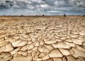 Pérdida de la biodiversidad y el cambio climático aumentan la aparición de enfermedades infecciosas según experta de la UPLA