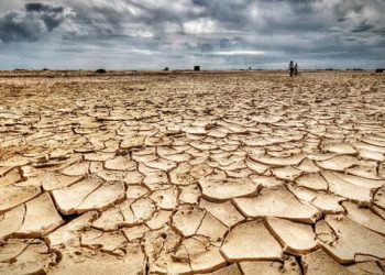 Pérdida de la biodiversidad y el cambio climático aumentan la aparición de enfermedades infecciosas según experta de la UPLA