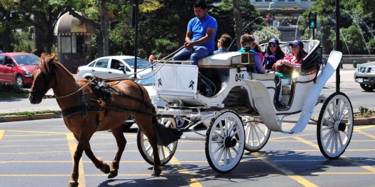 Fin de los coches victoria en Viña del Mar: Concejo Municipal aprueba por unanimidad la derogación de ordenanza que permite su funcionamiento