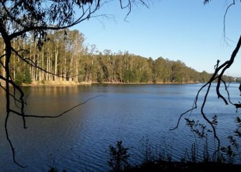 Esval suspende temporalmente uso de agua de Laguna La Luz pero evalúa nuevas extracciones